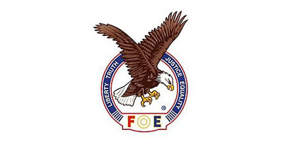Dover Eagles logo